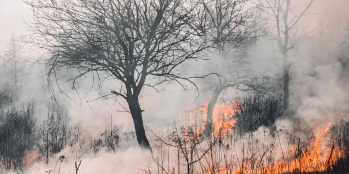 elmostrador: Fuego y Lluvia: Desastres Bipolares